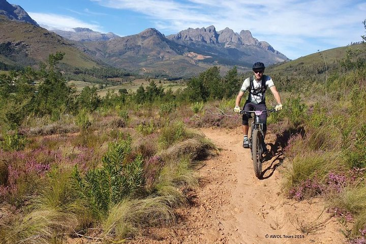 Private Mountain Biking Tour from Cape Town - Photo 1 of 5